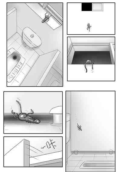 第170頁圖