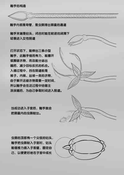 第294页图