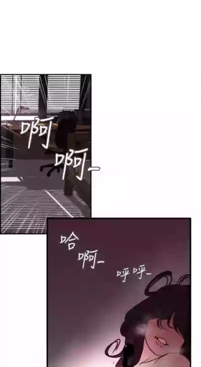 第38頁圖