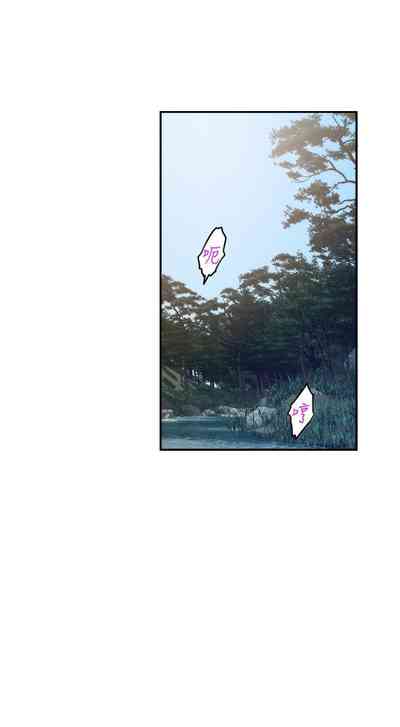 第446頁圖