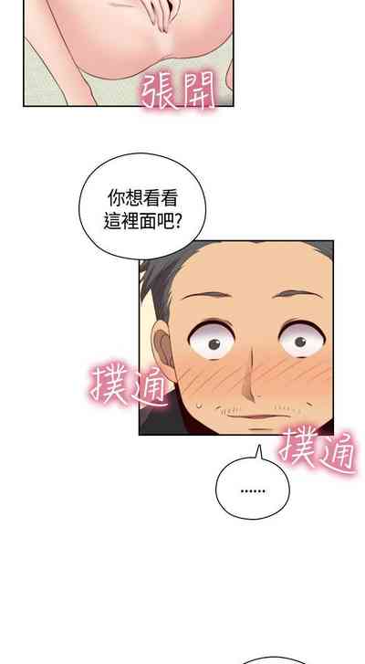 第294頁圖