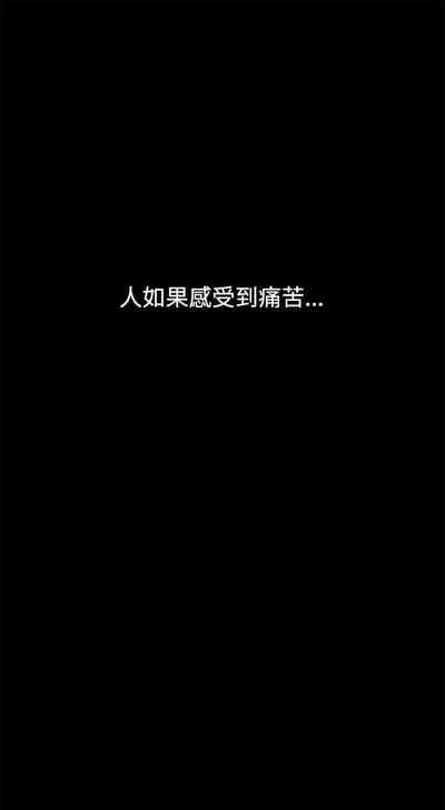 第146頁圖