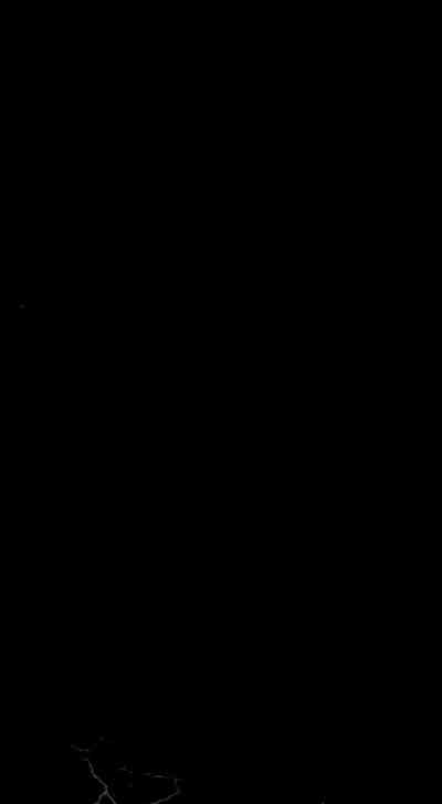 第226頁圖