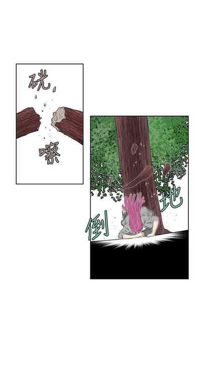 第146頁圖