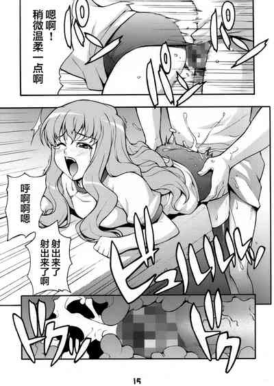 第14页图