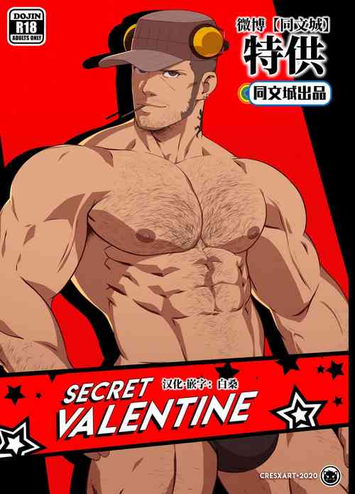 Secret Valentine – Persona 5图