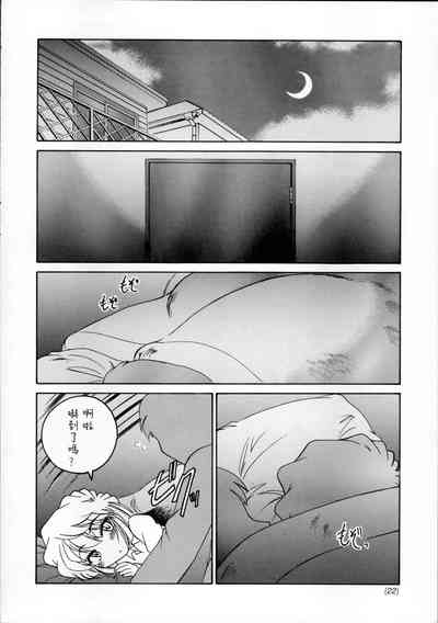 第22頁圖