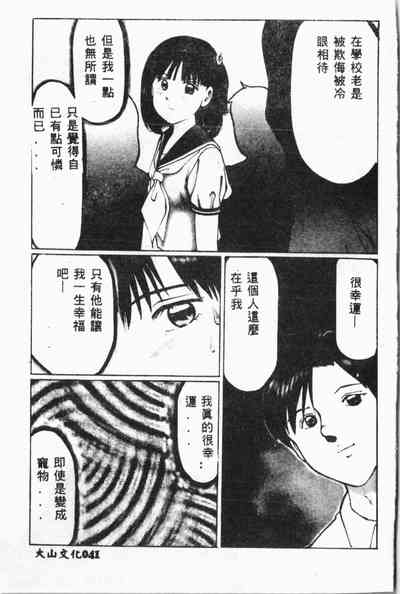 第42頁圖