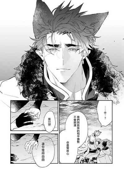 第94頁圖