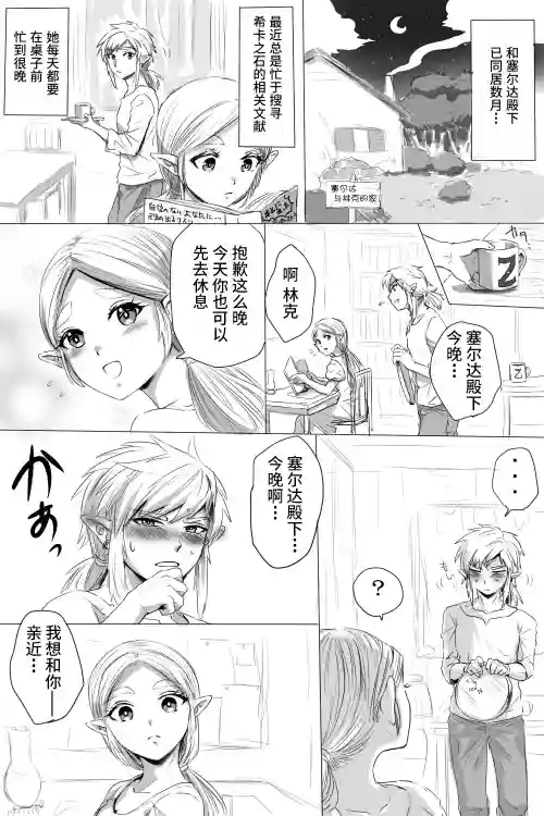ブレワイのリンゼルがひたすらいちゃいちゃしてすけべなことする漫画图
