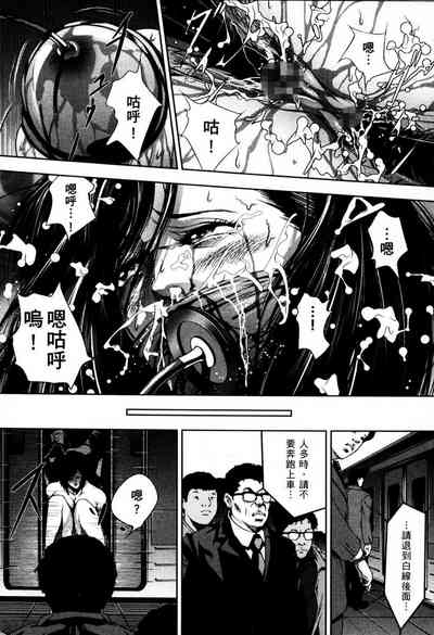 第102頁圖