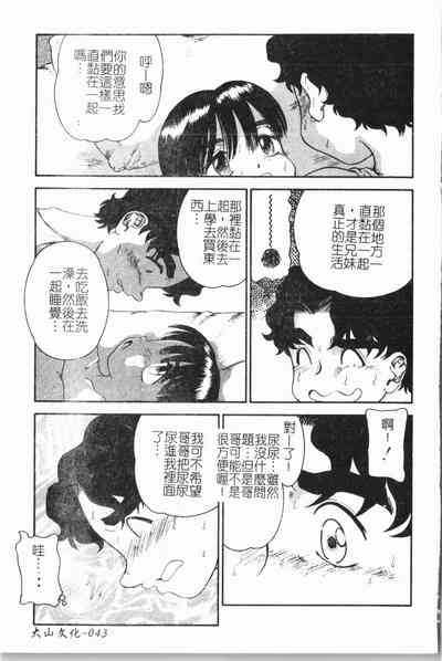 第46頁圖