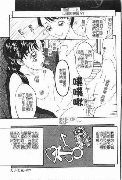 第90頁圖