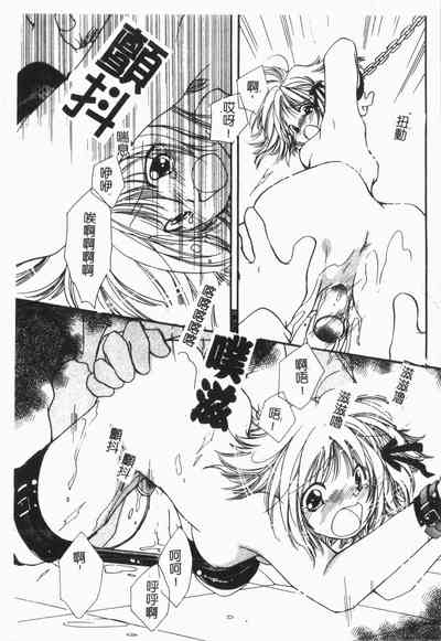 第178頁圖