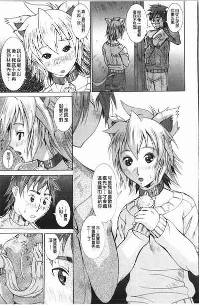 第86頁圖