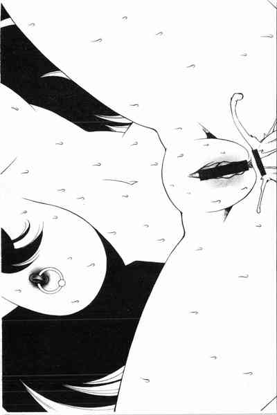 第86頁圖