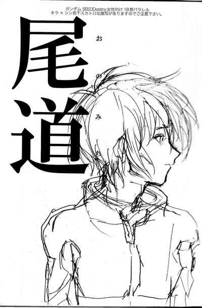 第2页图
