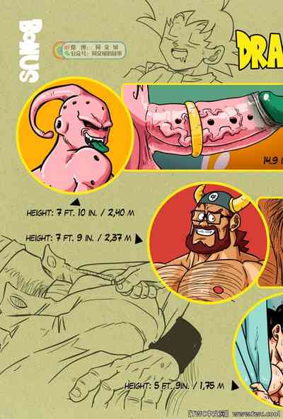 第38頁圖