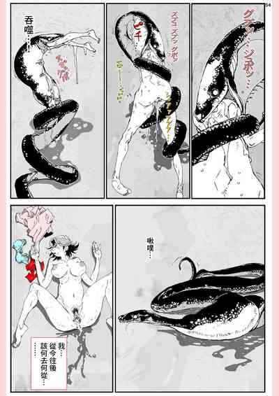 第54頁圖