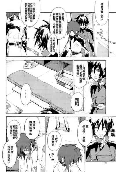 第106页图