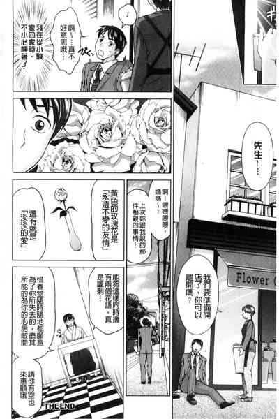 第210頁圖