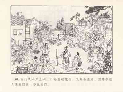 第62頁圖