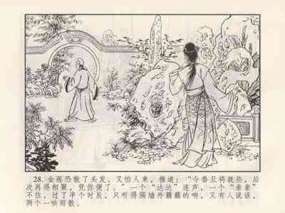 第214頁圖