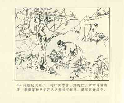 第650頁圖