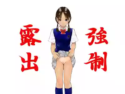 第2页图