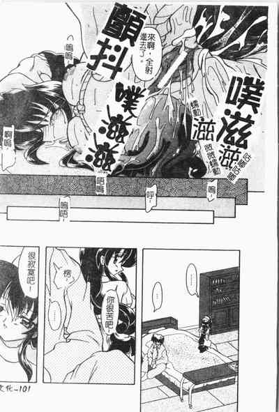 第102頁圖