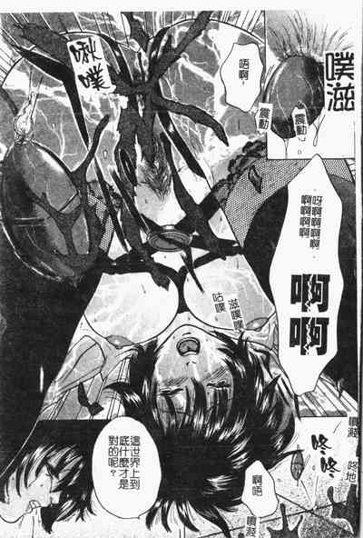 第78頁圖