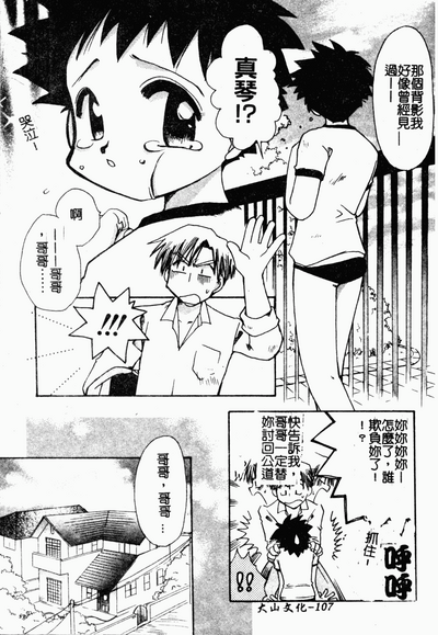 第106頁圖