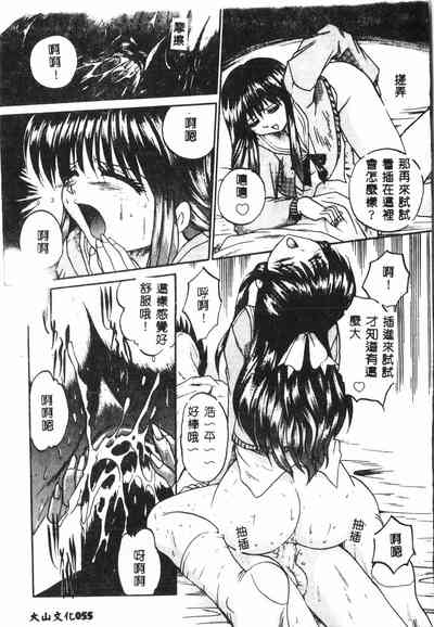 第54頁圖