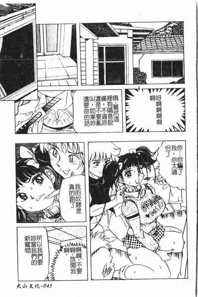 第46頁圖