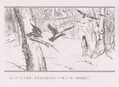 第14頁圖