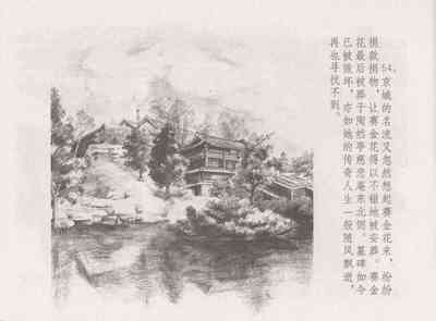 第58頁圖