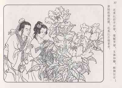 第42頁圖