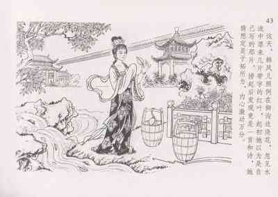 第50頁圖