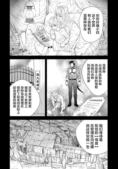 第10页图