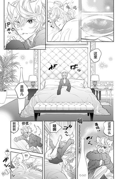第14页图