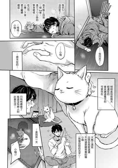 第54頁圖