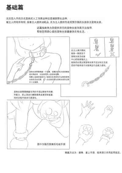 第10页图