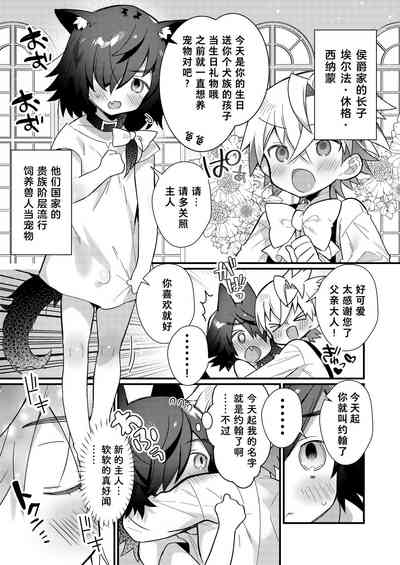 第34頁圖