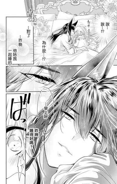 第38頁圖