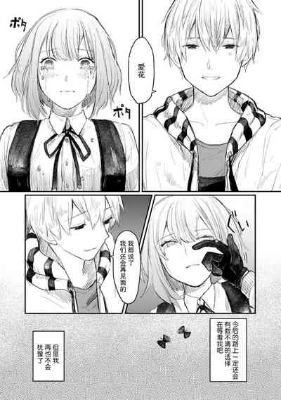 第146頁圖