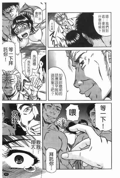 第102頁圖