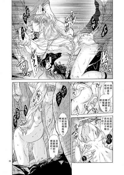 第66頁圖