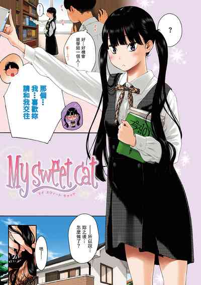 第214頁圖