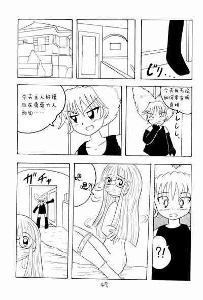 第50頁圖