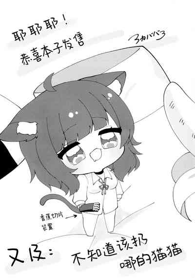 第22页图